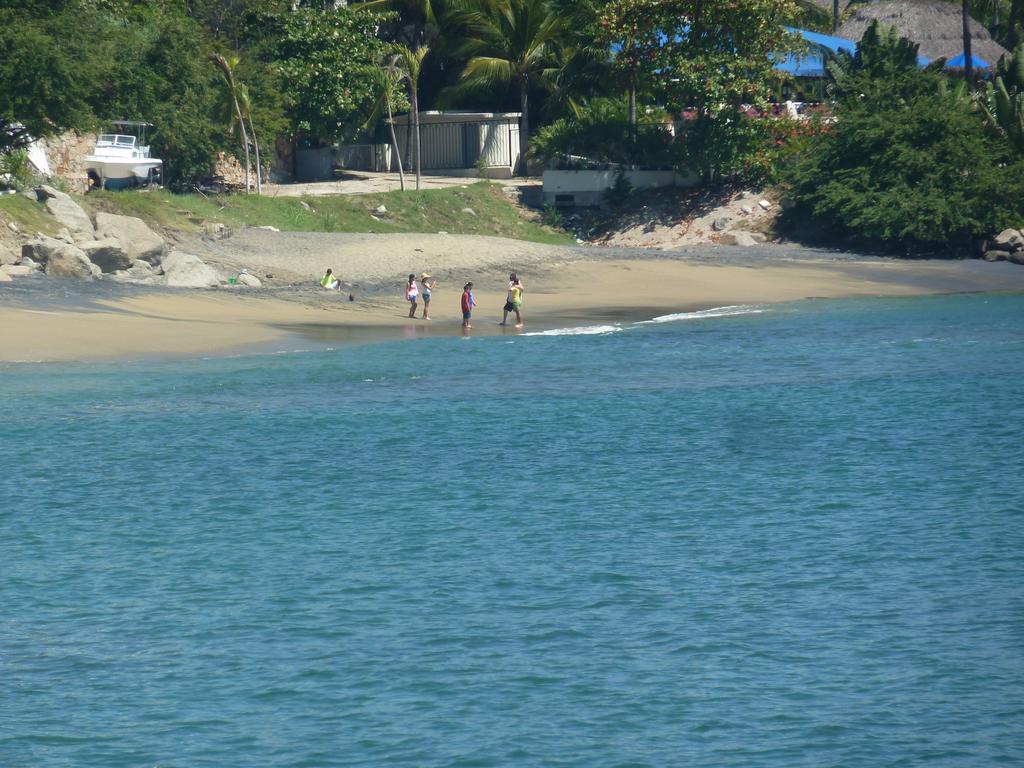 Dolphin Cove Inn มานซานิโญ ภายนอก รูปภาพ