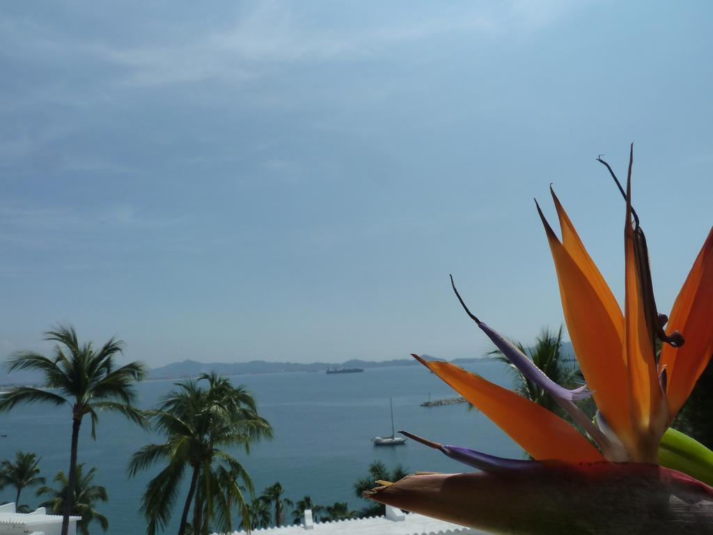 Dolphin Cove Inn มานซานิโญ ภายนอก รูปภาพ